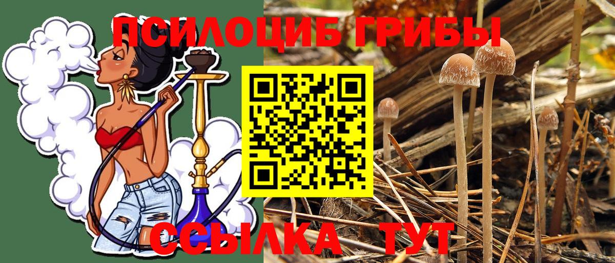 закладка  Псилоцибиновые грибы GOLDEN TEACHER  Вход с VPN  Галлюциногенные грибы ЛСД  Шебекино 