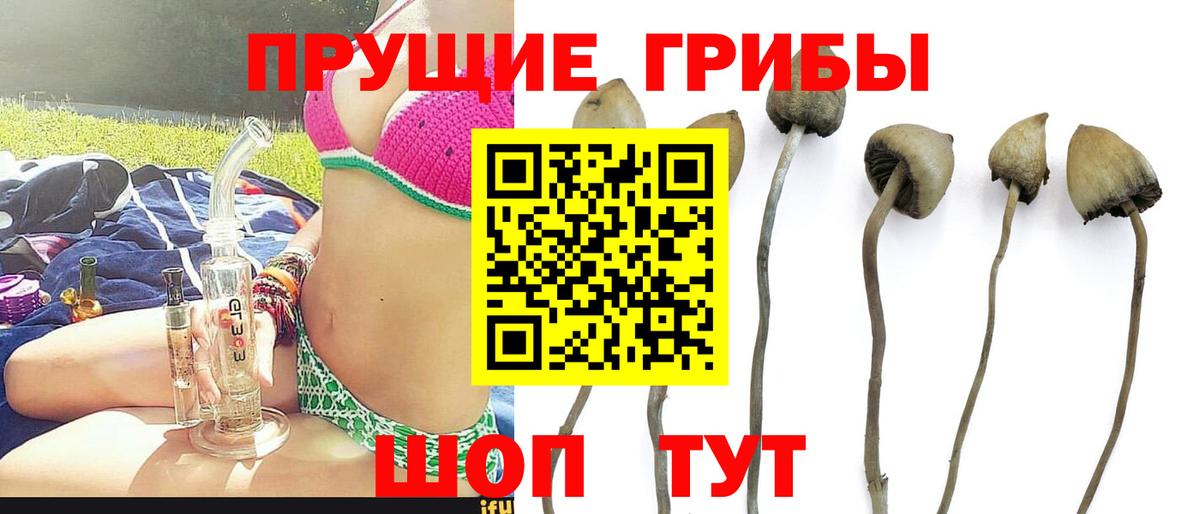 Галлюциногенные грибы GOLDEN TEACHER Шебекино